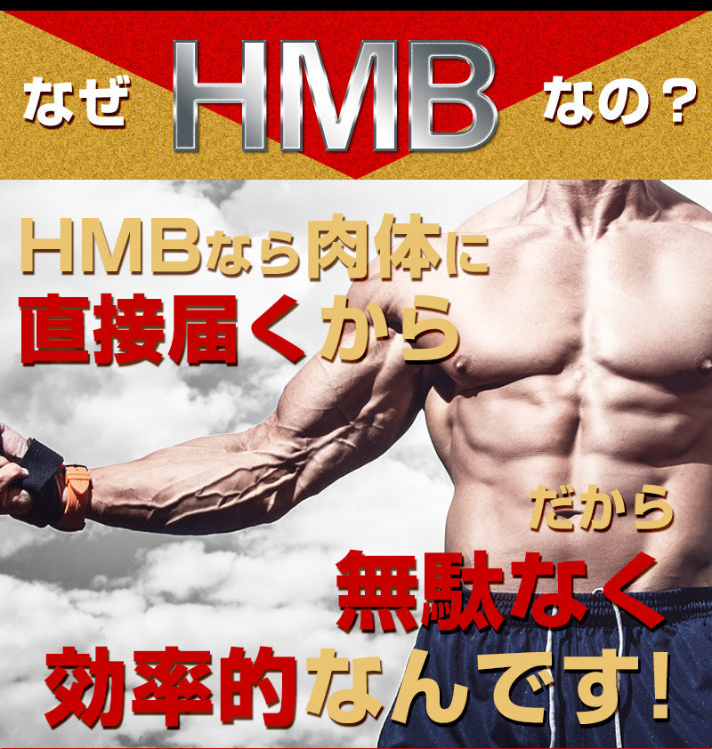 【お得３個セット】HMB トップギアプロ (HMB TOPGIA PRO) マッスルパワーを強力サポート! 筋肉 強力サポート 筋トレ マッスルパワー 中年太り 運動不足 プロテイン ダイエット 男性 筋トレ サプリメント シトルリン　アルギニン クレアチン カルニチン 亜鉛 マカ HMB スッポン マムシ BCAA 馬睾丸 日本 気力 活力 男力 バルクアップ 太く強く 最強のボディー