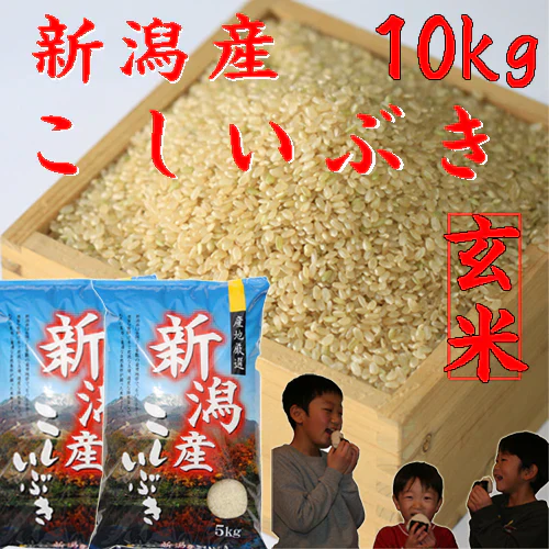 玄米 10kg 送料無料 米10kg 新潟県 こしいぶき 玄米 10kg 【5kg×2袋】米 玄米10キロ 農家直送 美味しい玄米 新潟県産米 安い お米 10キロ