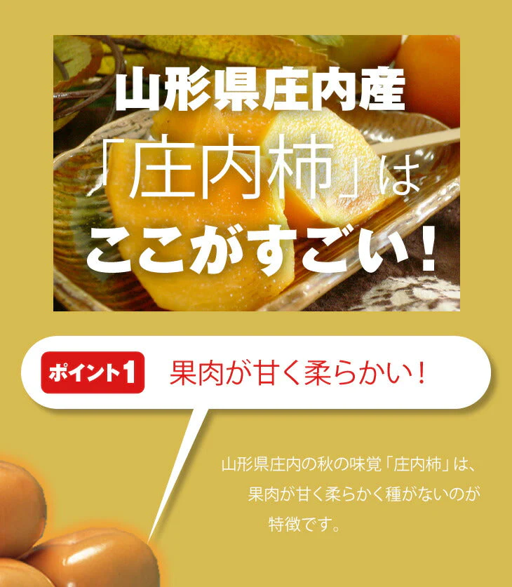 訳あり 産地直送 山形県庄内産 庄内柿 約2.5kg 玉数おまかせ 送料無料※一部地域は別途送料追加 11月上旬〜中旬発送開始予定【特産品・ご当地特集】