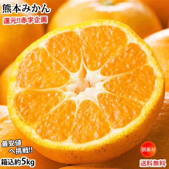 【10月上旬～中旬頃より順次出荷】みかん 5kg 送料無料 訳あり 箱込（内容量4kg＋補償分500g) 無選別 熊本みかん 極早生みかん 早生みかん 温州みかん蜜柑 ミカン