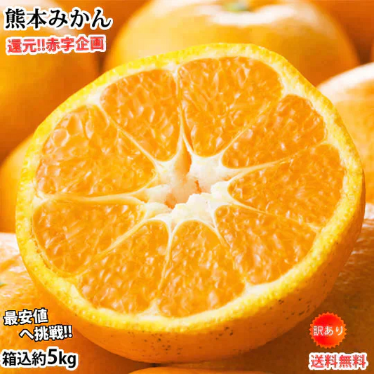 【10月上旬～中旬頃より順次出荷】みかん 5kg 送料無料 訳あり 箱込（内容量4kg＋補償分500g) 無選別 熊本みかん 極早生みかん 早生みかん 温州みかん蜜柑 ミカン