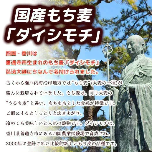 900g (450g×2) 国産もち麦 送料無料