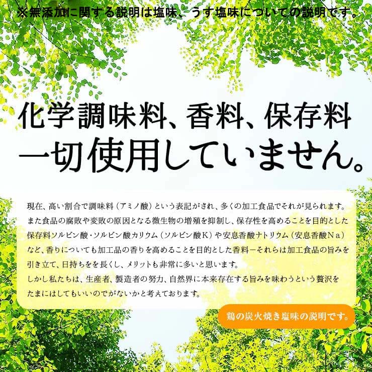 【3人シェア買いでお得】人気商品！【塩味×6パック】鶏の炭火焼き(炭火焼/鶏の炭火焼き/焼鳥/炭火焼き鳥)100g×6