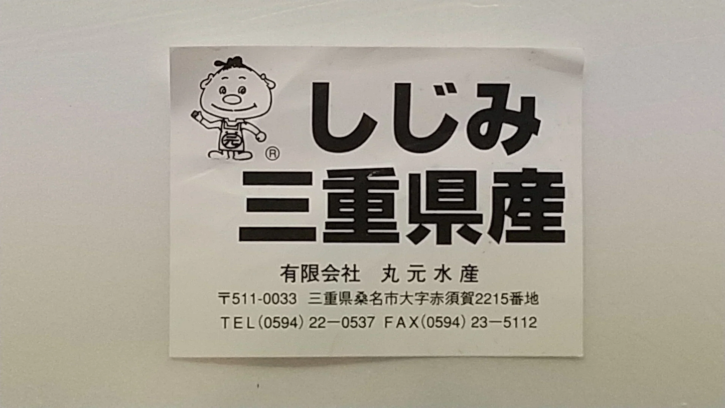 【水産仲卸直送】大人へのご褒美！活アサリ＆シジミを合わせてたっぷり1.6㎏！