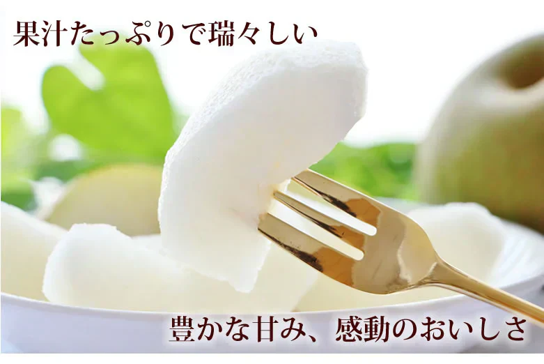 【9月中旬～下旬頃より順次出荷】梨 秋月 送料無料 秀品 約3kg 6〜10玉 熊本県産 お取り寄せ フルーツ ナシ なし 幸水 秋月 新高