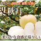 梨 秋月 送料無料 秀品 約3kg 6〜10玉 熊本県産 お取り寄せ フルーツ ナシ なし 幸水 秋月 新高