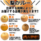 福島県産　梨　なし　5kg箱　★秀品★品種おまかせ