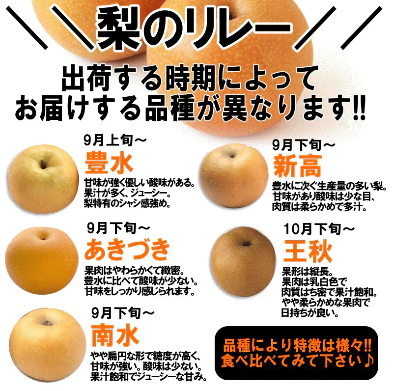福島県産　梨　なし　5kg箱　★秀品★品種おまかせ