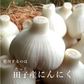 【アホエンオイル180ml】青森 田子 にんにく シチリア産 有機オリーブオイル じっくり低温抽出 アホエン オイル 効果 免疫 健康 元気 抗菌 血流 認知症 物忘れ