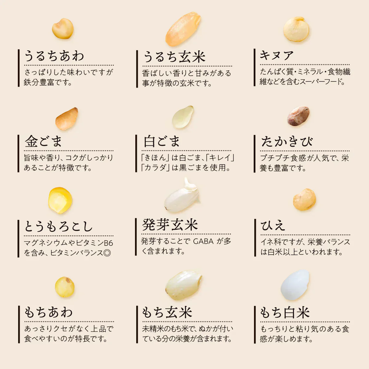 【訳アリ！賞味期限7月19日まで】雑穀米 450g Rice+30 ”きほんブレンド”  150g×3袋  雑穀 国産 30穀米 国産三十雑穀米 三十雑穀米 もち麦 発芽玄米 押麦 大豆 黒大豆 青大豆 はと麦 緑米 混ぜるだけ  無添加 保存食 ヘルシー お試し