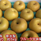 完熟 幸水 梨 訳あり 熊本産 箱込5kg (約8～24玉)【クール便発送】【7月下旬より発送】