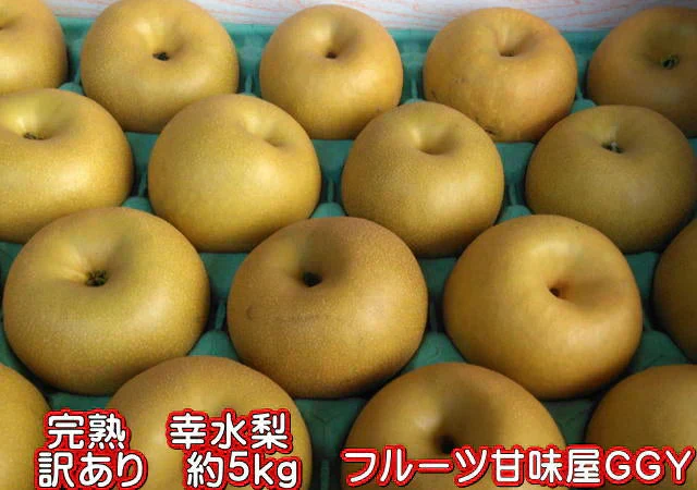完熟 幸水 梨 訳あり 熊本産 箱込5kg (約8～24玉)【クール便発送】【7月下旬より発送】