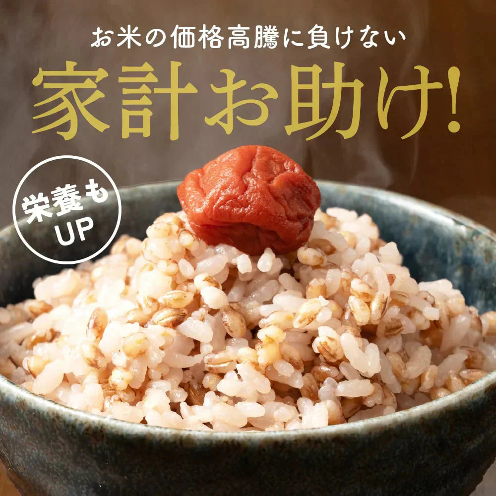 雑穀 雑穀米 国産 家計お助け米 もち麦ミックス 10kg(1kg×10袋)