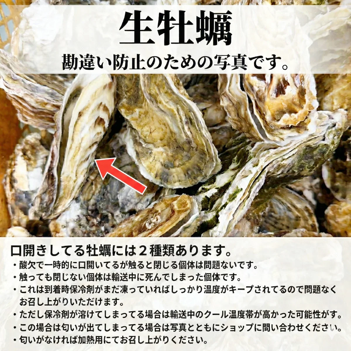 「生食用 殻付き 牡蠣 ２ｋｇ」生食用（14~35粒）生牡蠣 殻付き 牡蛎 牡蠣 殻付 宮城県産 松島牡蠣屋 カキ 海産物 魚介類 魚介 海鮮 母の日 父の日 送料無料 ＢＢＱ バーベキュー