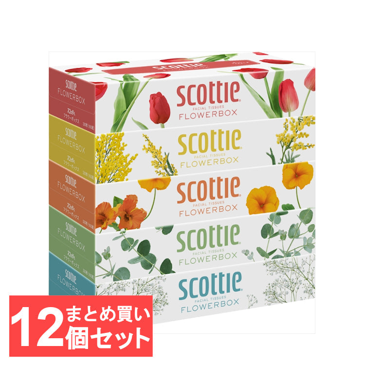 【カートアップNG】【60箱】日本製紙クレシア スコッティ ティシュー フラワーボックス 160組 5箱×12個セット【家計お助けSALE】
