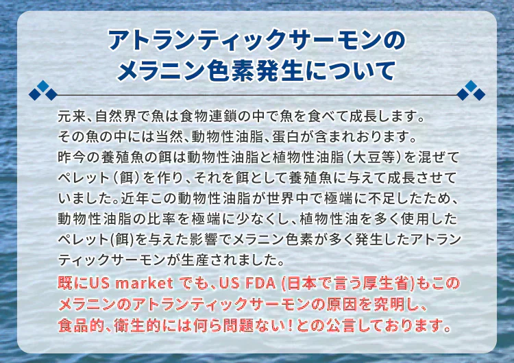 アトランティックサーモン 骨取り 2kg（500g×4パック）