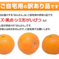 ポンカン 5kg 訳あり 送料無料 箱込 (内容量4kg+不良果補償分500g) 無選別 みかん 熊本県産 デコポン 蜜柑