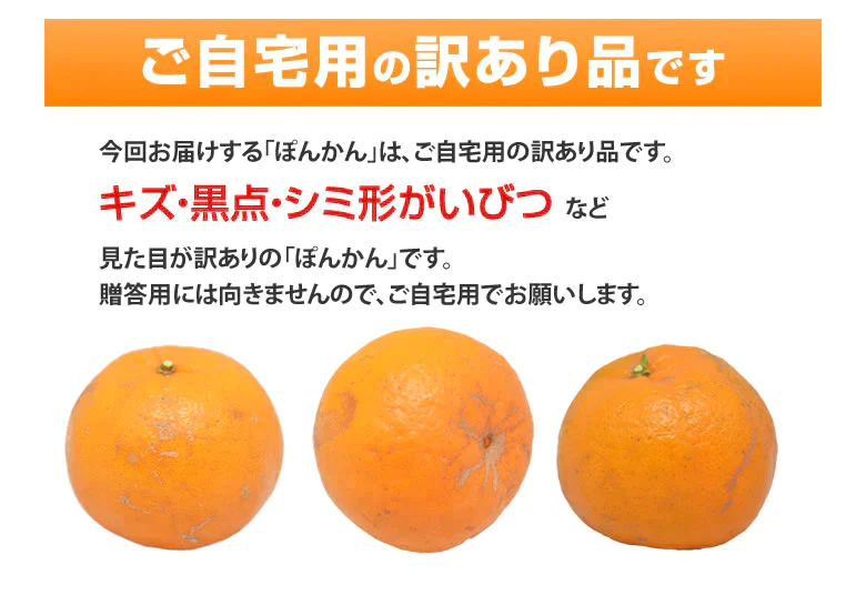 ポンカン 5kg 訳あり 送料無料 箱込 (内容量4kg+不良果補償分500g) 無選別 みかん 熊本県産 デコポン 蜜柑