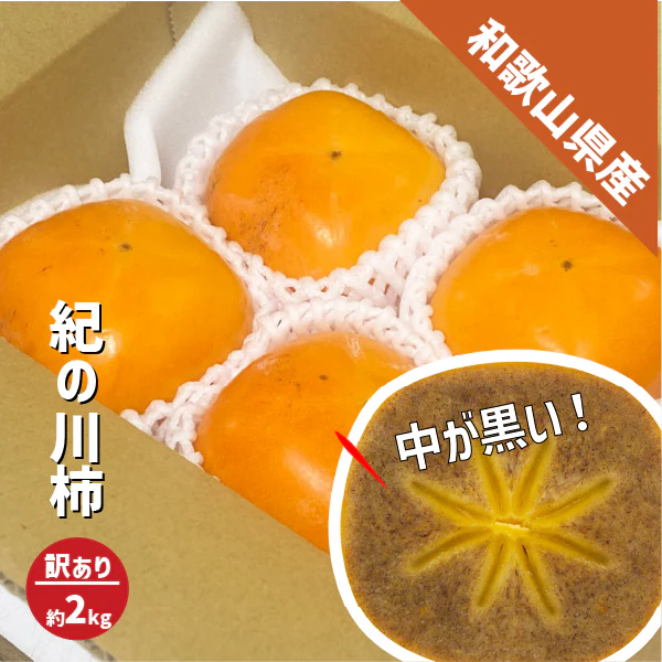 紀の川柿 訳あり 約2kg (８〜９玉) 和歌山県産 たねなし 種無し 平核無柿 刀根早生柿 送料無料 柿 カキ 黒あま ギフト