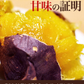 さつまいも 紅はるか べにはるか 1.5kg 送料無料 芋 熊本県産 スイーツ お取り寄せ 《7-14営業日以内に発送予定》
