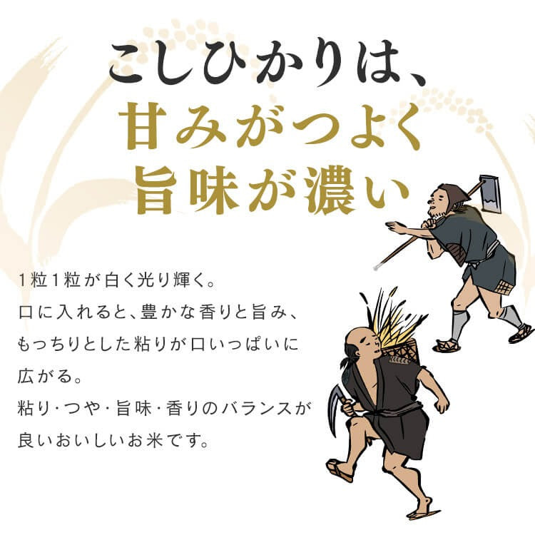 【カートアップNG】【ご新規さんとシェア買い】アイリスオーヤマ 低温製法米 無洗米 新潟県産こしひかり チャック付き 2kg