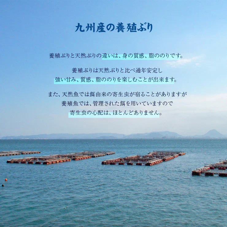 骨まで食べれる魚 ぶりかま 煮付け 1切×2パック