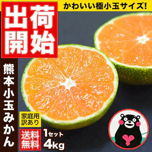 小玉 みかん 訳あり 送料無料 4kg 小粒 ミカン 柑橘 熊本 極早生 3s-sサイズ 家庭用 9月下旬-10月中旬頃より発送予定