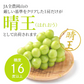 【9月発送】シャインマスカット〈晴王〉訳あり 岡山産 2kg (3-4,5房) 送料無料