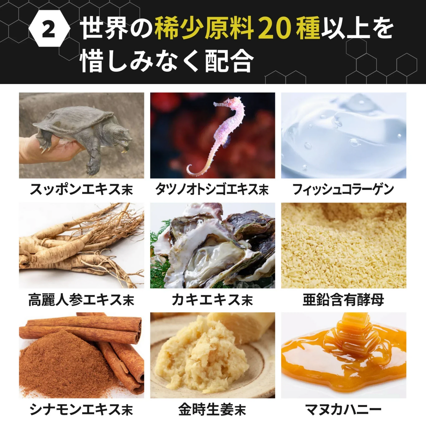 マヌカパワーマックス 5包 マヌカハニー はちみつ マカ スッポン 栄養補助食品