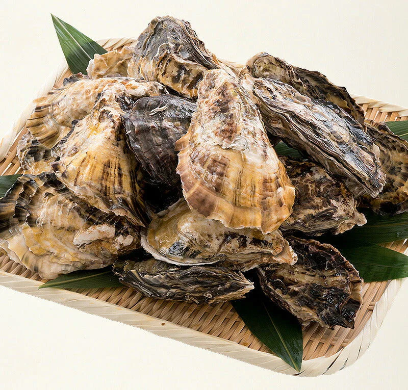 カキ 牡蠣 缶焼き かき 2kg （殻付き 約22〜30個） 冷凍牡蠣 冷凍かき 冷凍カキ 殻付き牡蠣 カンカン焼き かんかん焼き 美味しいお取り寄せ 冷凍グルメ 美味しいギフト 一斗缶 お取り寄せグルメ 海鮮 美味しい BBQ バーべーキュー 冷凍 軍手 ナイフ付き ［送料無料］ 母の日