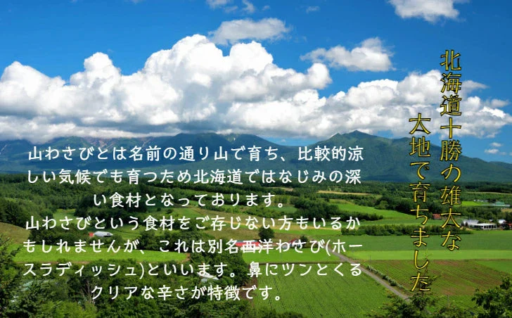 【激辛!!北海道十勝産の山わさび】 北海道 十勝産 山わさび お試し価格 セット販売 ホースラディッシュ 西洋わさび 野菜 わさび (200g)