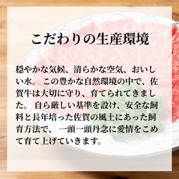 ［約800g(400g×2p) ］佐賀牛赤身霜降りしゃぶしゃぶすき焼き用（肩・モモ）【ゲリラセール】