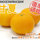 甘夏 5kg みかん 蜜柑 ご家庭用 箱買い サイズミックス あまなつ 柑橘 フルーツ 果物 産地直送 愛媛県産 YDF-013