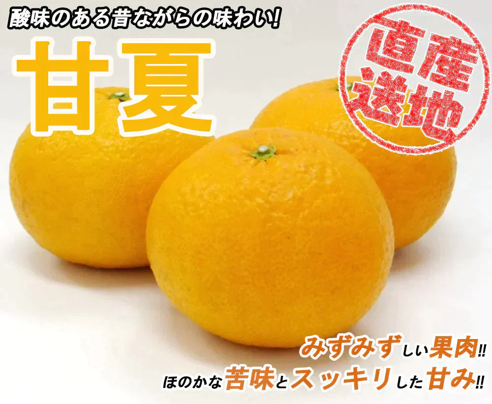 甘夏 5kg みかん 蜜柑 ご家庭用 箱買い サイズミックス あまなつ 柑橘 フルーツ 果物 産地直送 愛媛県産 YDF-013