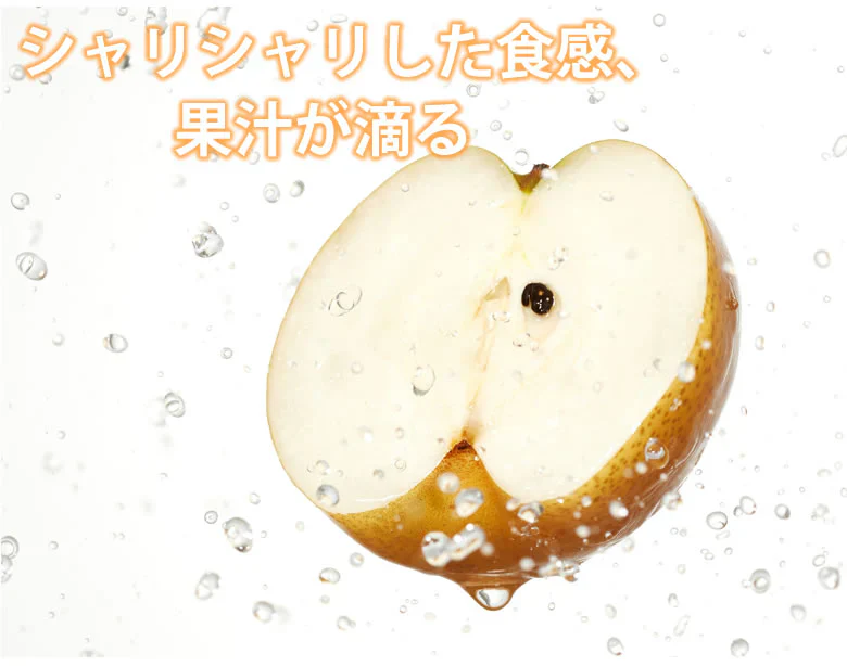 【7月下旬～8月上旬頃より順次出荷】幸水 梨 送料無料 クール便 訳あり 5kg 箱込 (内容量4kg+補償500g) お取り寄せ 熊本県産 ナシ 和梨