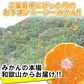(10月下旬頃から順次発送の予約販売) みかん 激レア小粒 直径4.5cm前後 訳あり 和歌山有田みかん 5kg