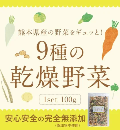 9種の国産野菜 乾燥野菜 完全無添加 完全国産 熊本県産 100g 野菜セット スープ 味噌汁 インスタント やさい 栄養 ドライベジ エアドライ 野菜 詰め合わせ 健康 ブドウ糖不使用《3-7営業日以内に発送予定(土日祝日除く)》