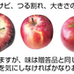 青森県産 訳あり 葉とらず ふじ りんご 約15kg※11月下旬よりご予約順に発送【指定日不可】