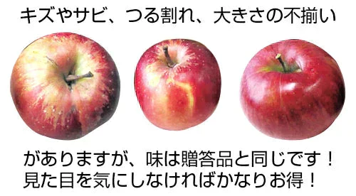 青森県産 訳あり 葉とらず ふじ りんご 約15kg※11月下旬よりご予約順に発送【指定日不可】