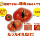 送料無料　訳あり ソムリエ トマト 5.5～6.5kg（18玉～36玉)【最安値挑戦祭】