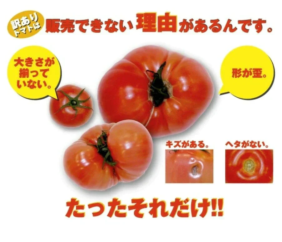 送料無料　訳あり ソムリエ トマト 5.5～6.5kg（18玉～36玉)【最安値挑戦祭】