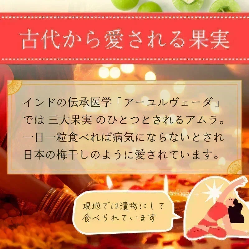 【ご注文殺到につき入荷待ち】 アムラパウダー 無添加 食用 オーガニック 100g 有機 JAS認証 粉末 アムラ 100% パウダー グーズベリー スリランカ ヘアケア 美髪 薄毛 美肌 栄養 健康 サプリメント