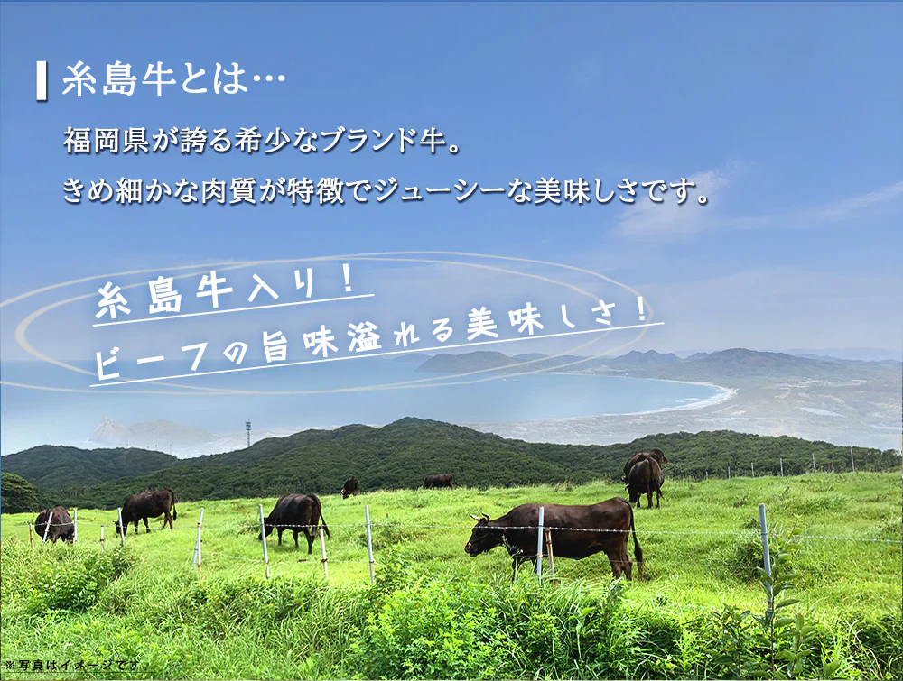 ぎょうざ 太宰府ぎょうざ 糸島牛 糸島 餃子 96個 270g 送料無料 にんにく 中華 冷凍食品 お取り寄せ ギフト おかず 冷凍餃子  福岡県産 rep-003