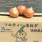 【訳あり】(塩栽培)淡路島産ソルティ玉ねぎ5キロ　美味しいさ甘さグー