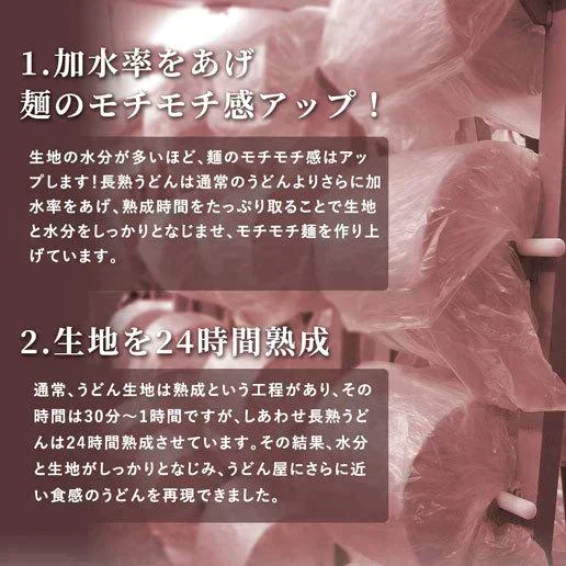 本場讃岐純生うどん 900g(300gx3袋)  約9人前 熟成うどん 太麺 送料無料 製造直売