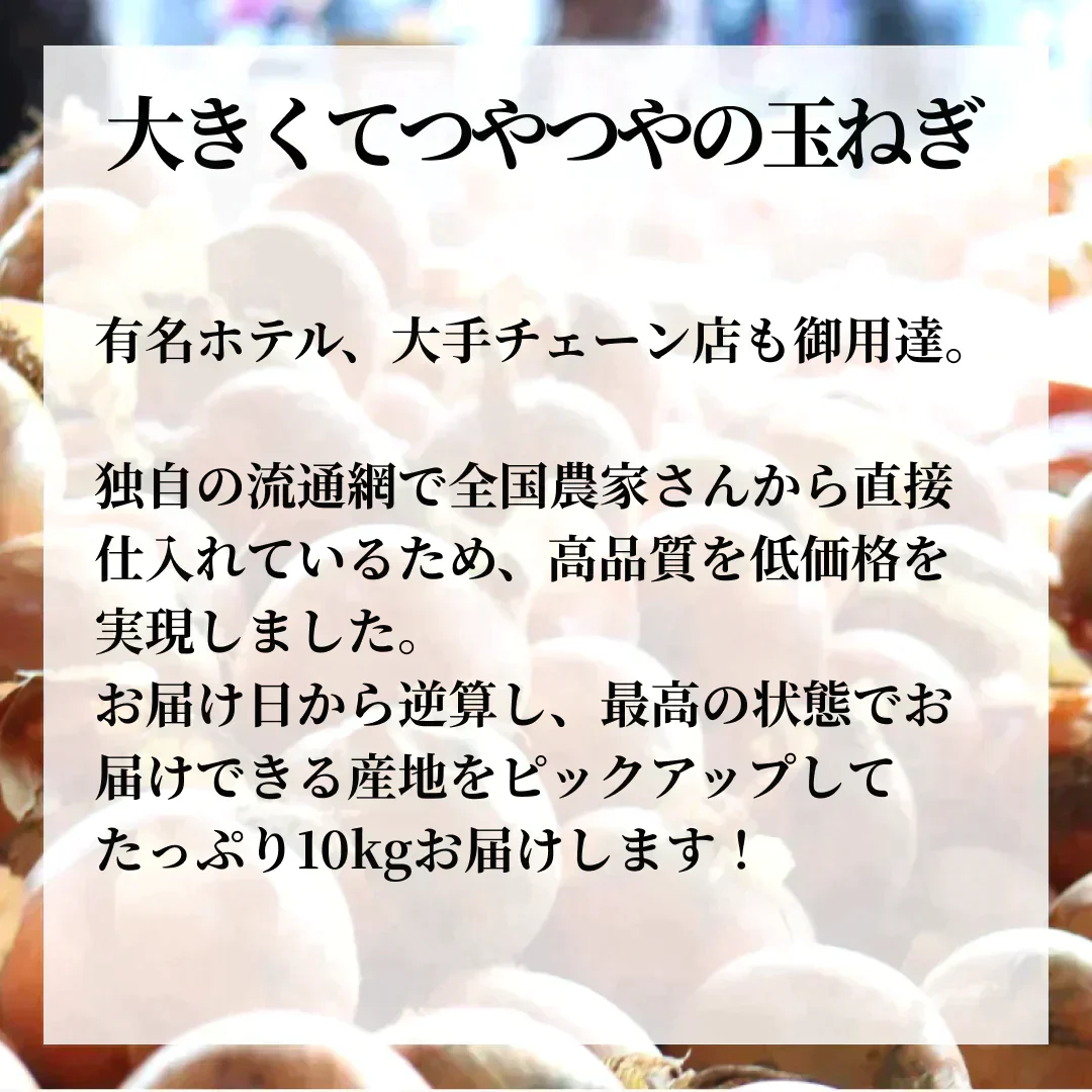 【5人限定送料こみ1000円】つやつやたまねぎ 5kg