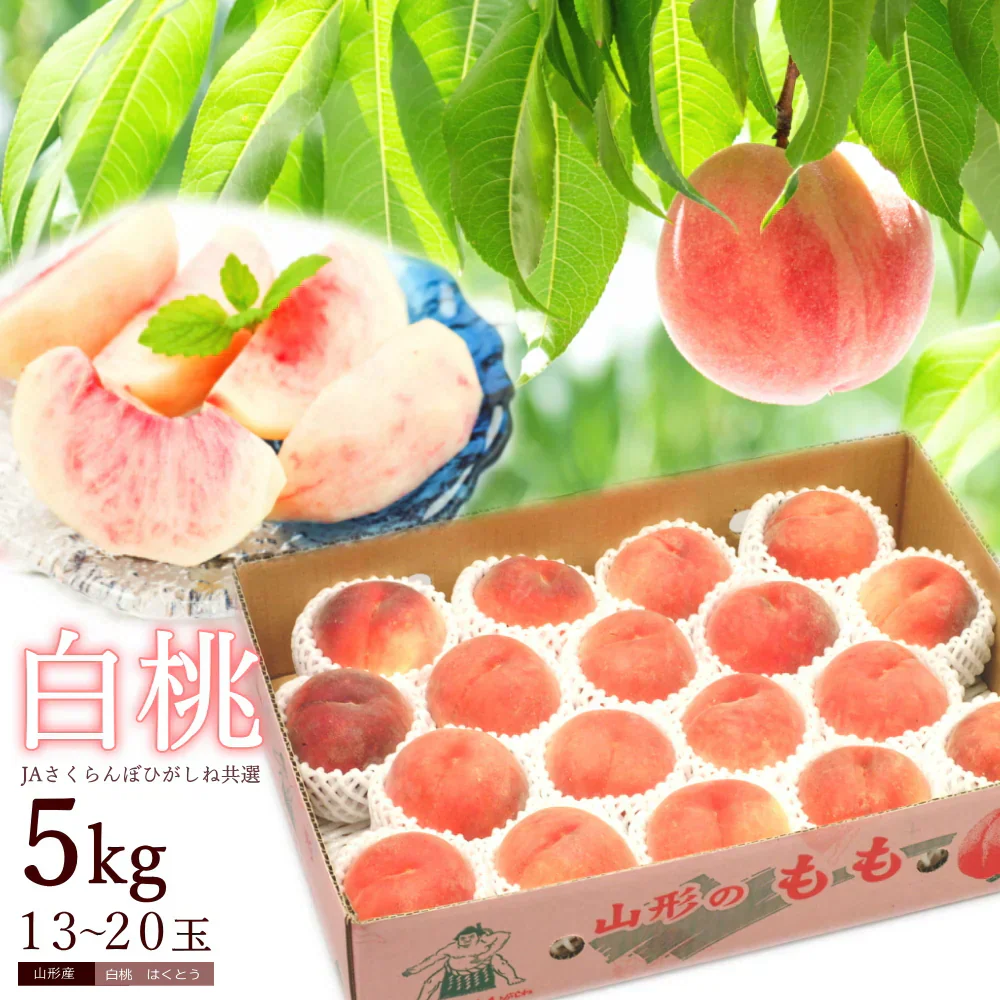 白桃 約5kg 13-20玉前後 もも ピーチ モモ 桃 くだもの フルーツ ご家庭用 光センサー選別 山形産 農協共選