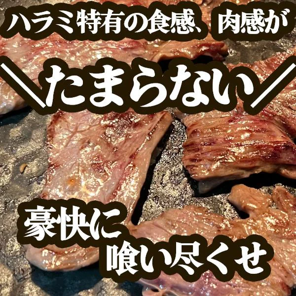 秘伝のタレ漬け牛ハラミ1kg＆厚切り牛タン250gセット
