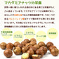 マカダミアナッツ 殻付き ロースト 300g オープナー付 ナッツ