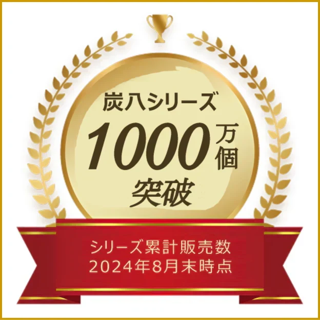 調湿木炭 炭八 室内用大袋 4個入＋スマート小袋 1個入
